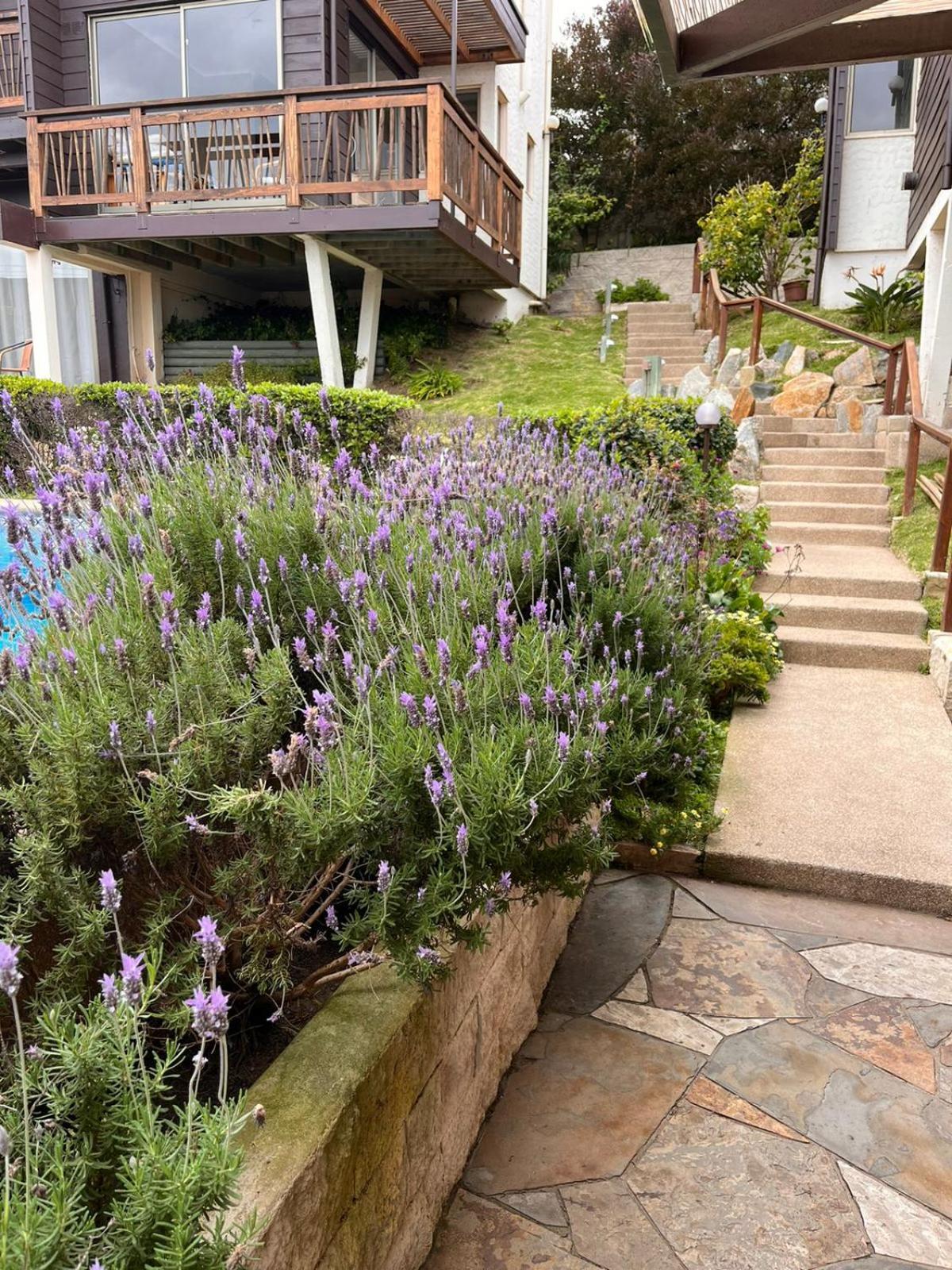 Blumen Platz Apart Hotel Concón Exterior foto